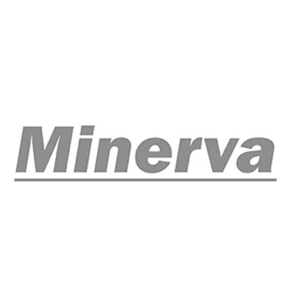 minerva msk