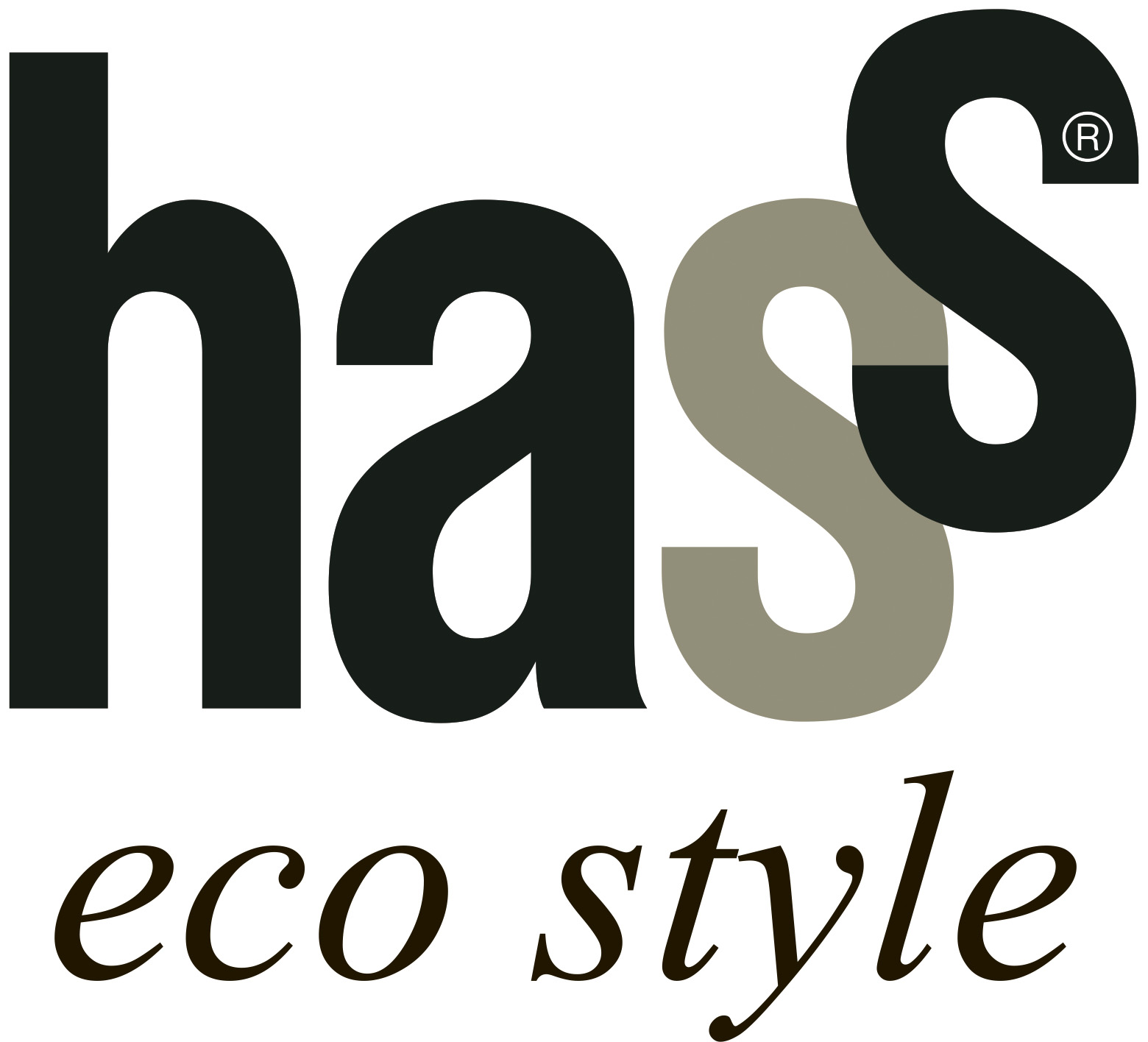 logo HASS Eco Style