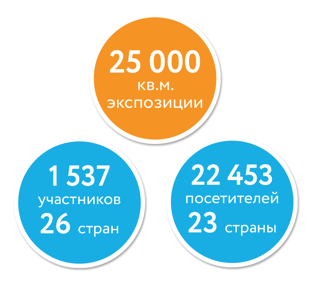 statistika_anons.png